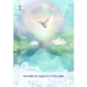 Hay House Law of Positivism Healing Oracle Cards