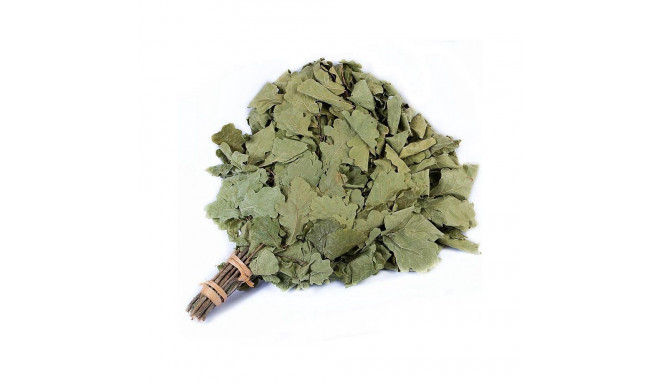 OAK-TREE komplekt flammifera