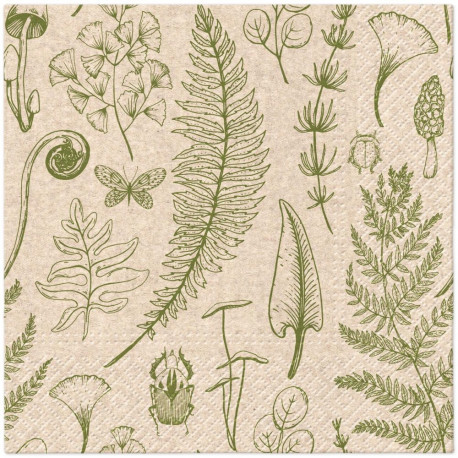 salvrätikud paberist forest natur 33x33cm 20 tk