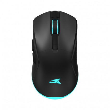Baracuda TURTLE BGM-121, Black