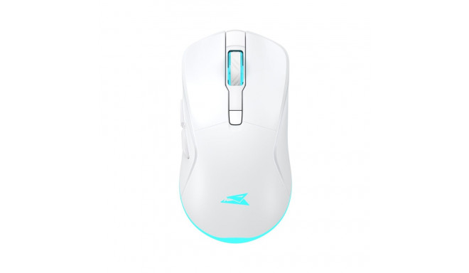 Baracuda TURTLE BGM-122, White