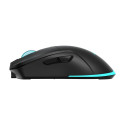 Baracuda BGM-121 Turtle Black