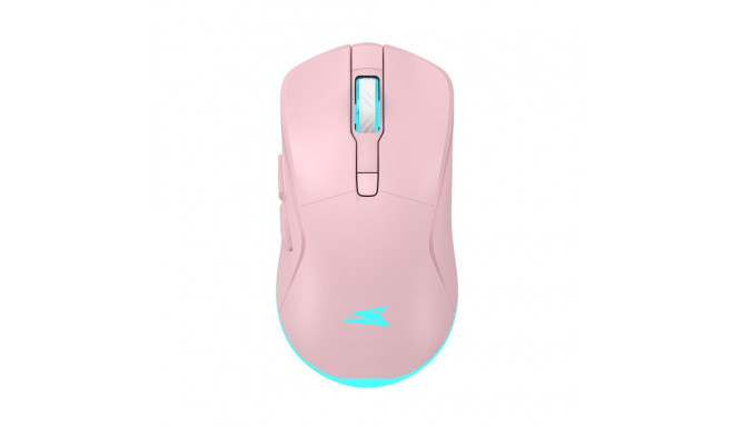 Baracuda TURTLE BGM-124 Pink