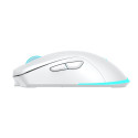 Baracuda BGM-122 Turtle White