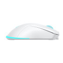Baracuda BGM-122 Turtle White