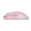 Baracuda BGM-124 Turtle Pink
