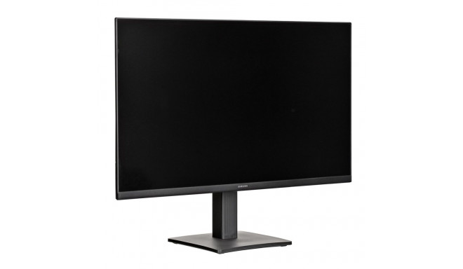 Samsung LS24D304GAUXEN arvutimonitor 61 cm (24") 1920 x 1080 pikslit Full HD must