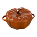 STAUB kaanepõhi