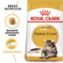 Royal Canin FBN Maine Coon Adult -  dry food for adult cats - 4kg