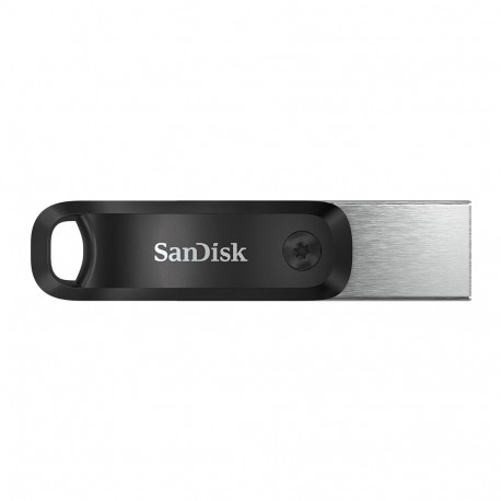 SanDisk SDIX60N-256G-GN6NE USB flash drive 256 GB 3.2 Gen 1 (3.1 Gen 1) Grey, Silver