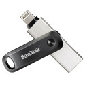 SanDisk SDIX60N-256G-GN6NE USB mälupulk 256 GB 3.2 Gen 1 (3.1 Gen 1) hall, hõbedane