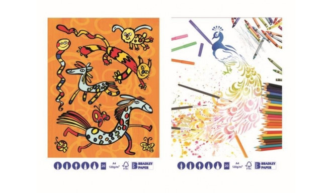 Joonistusplokk A3, 20 lehte, 120g universaalne Bradley, 5 tükki pakis