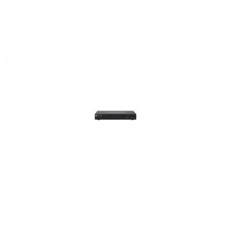 Techly 101928 2-port DisplayPort