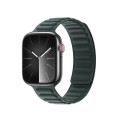 Dux Ducis Magnetic Dux Ducis Strap BL for Apple Watch 38 / 40 / 41 mm - green
