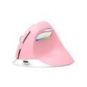 Delux Wireless Vertical Mouse Delux M618Mini DB BT+2.4G 2400DPI (pink)