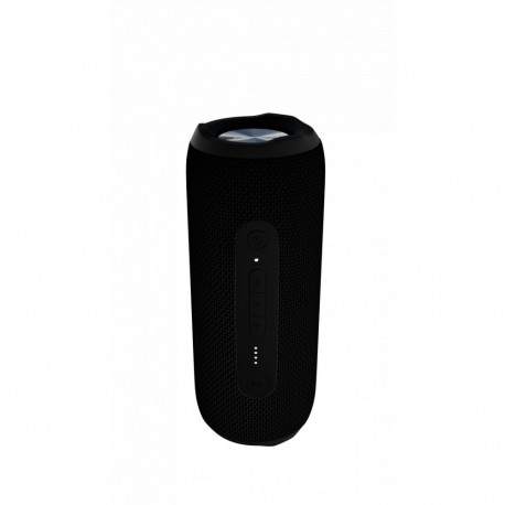 Evelatus Evelatus Bluetooth Speaker L size EBS03 Black