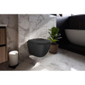 TOILET ARC WALL HUNG BLACK MATT