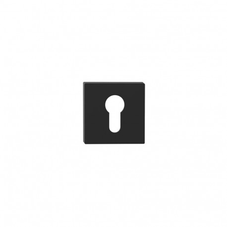 CYLINDER ESCUTCHEON TOPAZ SUPER BLACK PV