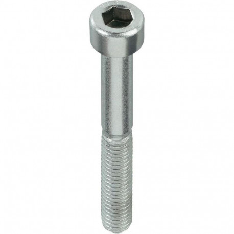 BOLT DIN912 M10X40 ZN (100)