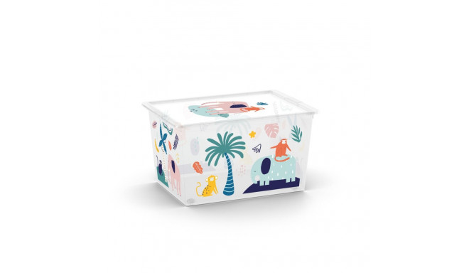 kaasiga hoiukast C BOX50L