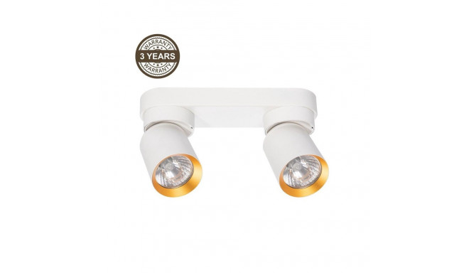 CEILING LIGHT TUNIS 2XGU10 ML9934 W/GOLD