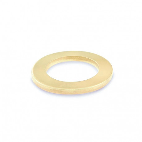 WASHERS 12X18X2 BRASS PLAT(DOORS)/16PCS