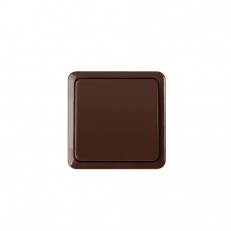 SWITCH P110-010V TOP CL1 BROWN SL+