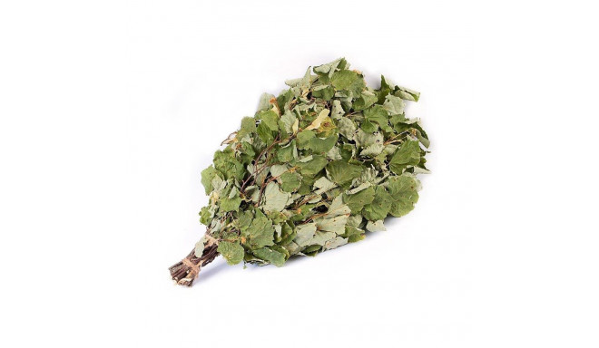 Linden saunaviht flammifera