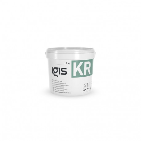 FINE-GRAINED PUTTY IGIS.KR, 5 KG