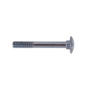 SCREW DIN603 M8X60 (100)