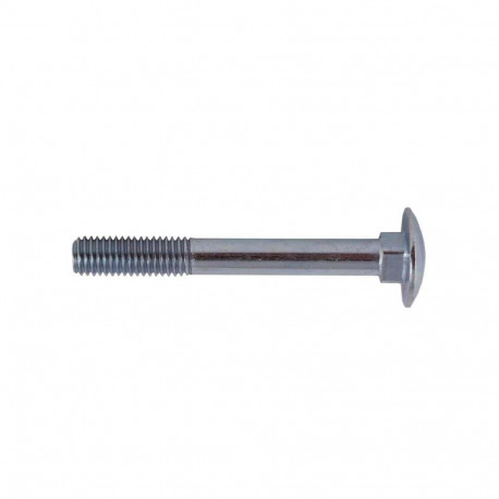 SCREW DIN603 M6X70 (100)(800)