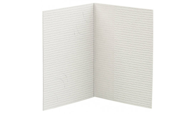 1x100 Daiber kaustik passifoto, 3 suurust, hall