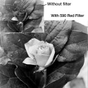 B+W Filter 49mm Red Light MRC Basic