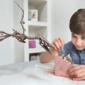 4M craft kit "Dig a Pteranodon skeleton"