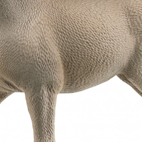 SCHLEICH HORSE CLUB Criollo Definitivo varss