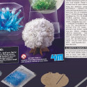 4M DIY set Crystal science