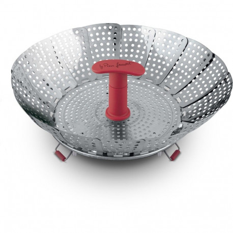 Foldable steamer Lamart