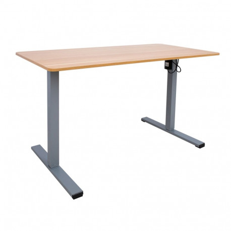 Desk ERGO OPTIMAL with 1 motor 120x60xH71-116cm, oak/silver grey