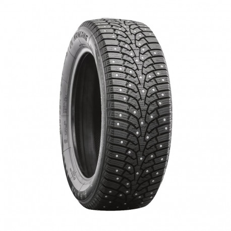 255/45R20 Nankang SW-9 105T XL naast