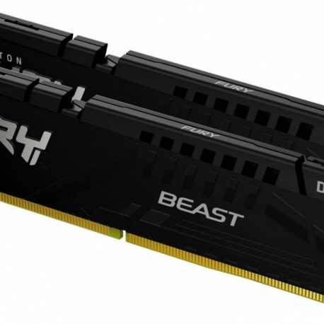 DDR5 Fury Beast Black 64GB(232GB)/5600 CL40