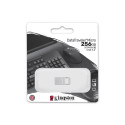 Kingston mälupulk 256GB USB 3.2 (DTMC3G2)