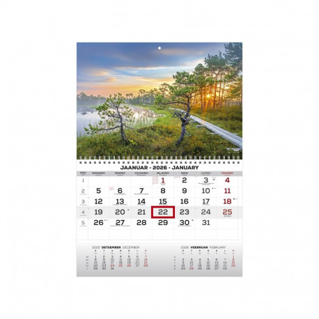 Wall calendar MONO Estonian-English no. 4 2911050004