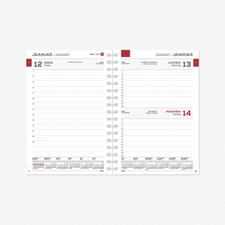 Calendar content MINISTER SpirEx Day 2912730000