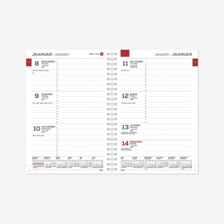 Calendar content MINISTER SpirEx Week H 2912731000