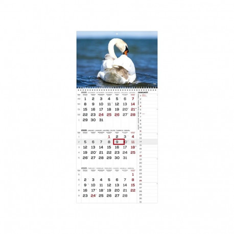 Seinakalender TRIO International pilt nr. 7 2026a.