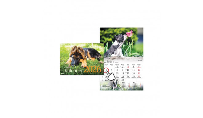 Seinakalender - Koerakalender 2026a.