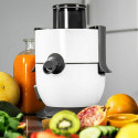 Likvidaator Cecotec StrongTitanium 19000 650W (500 ml) Likvidaator Cecotec StrongTitanium 19000 650W (500 ml)