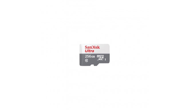 SANDISK BY WESTERN DIGITAL MEMORY MICRO SDXC 256GB UHS-I/SDSQUNR-256G-GN6TA SANDISK