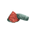 Deuter Exosphere +4° SL Women's Synthetic Sleeping Bag - Left Sage-Redwood