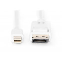 Cable DisplayPort 1.1a Mini  DP-DP M / M 2.0m